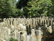 TorǔܕSikΕj̓eʐ^3