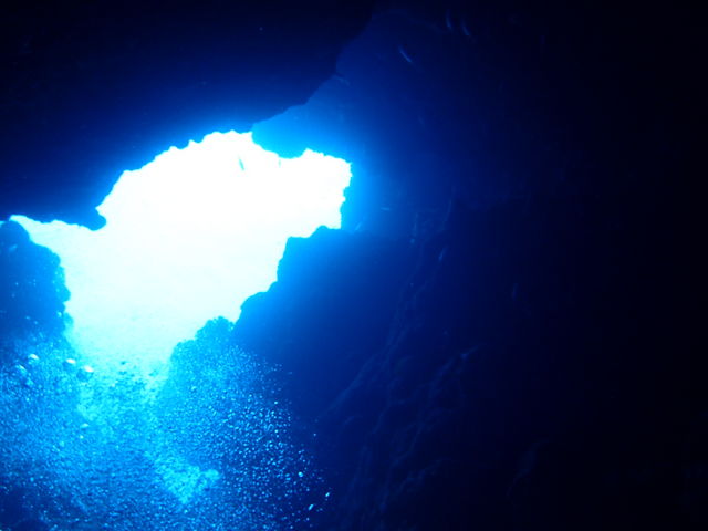 {Ãu[[łB__CrOT[rXɊC