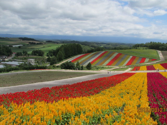 �F�Ƃ�ǂ�̉Ԕ�_�l�G�ʂ̋u