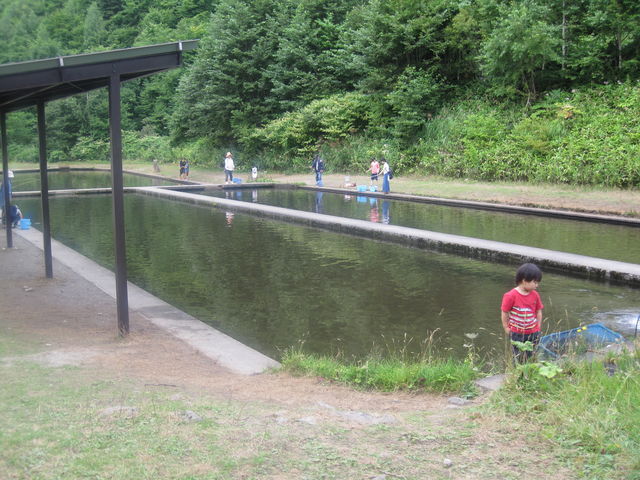 �A��Q�����̓X�L�X�L�ł����B_����ڂ�