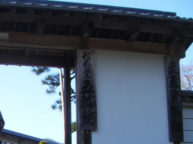 ��_�����̗��ܗ֖V