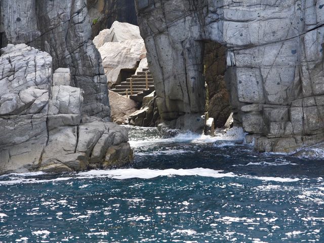 �p���t���b�g�ɂ��Ȃ��召��_�h����߂���V���D