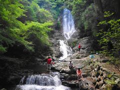 くまちゃんさんの菅生の滝の投稿写真1