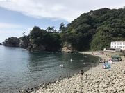 �����₳��̕����C������̓��e�ʐ^3