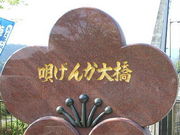 sumỉS񂩑勴̓eʐ^1