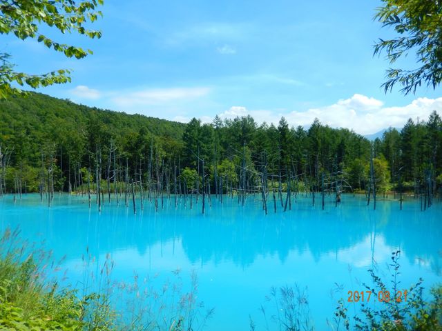 ��̐������r�̂ق�������ɐ��������܂����B_���r