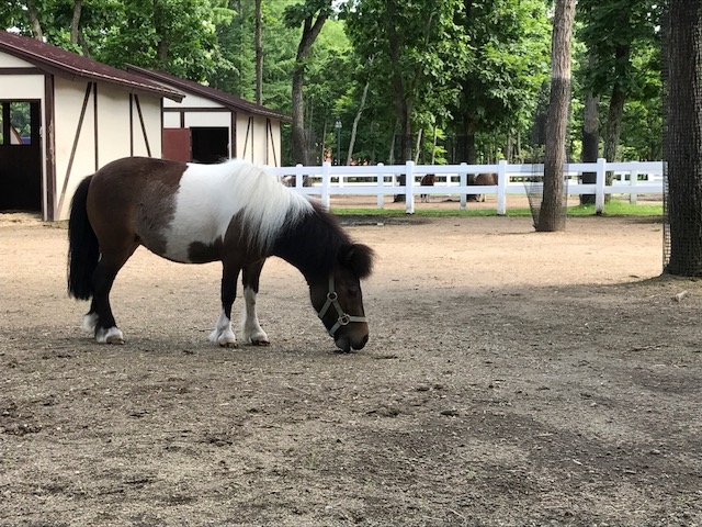 ���[�����_�m�[�U���z�[�X�p�[�N