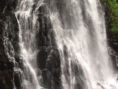 ݂͂悤̔ԏւ̓eʐ^1