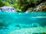 Ƃ[̐mimysA̒Am쒬AzmAAmsj̓eʐ^5