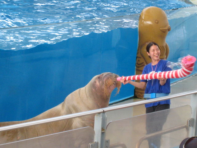 ���l�E���i���V�[�p���_�C�X