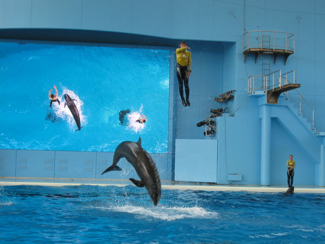 ���l�E���i���V�[�p���_�C�X