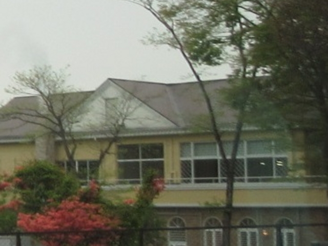 ���َq�̏�_���َq�̏�ߐ{�n�[�g�����h