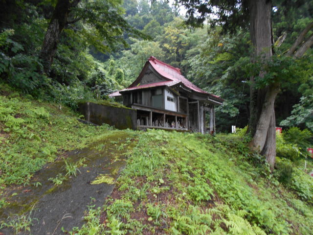 ��t���A�������疹�a�͓�������́H�Ⴊ����Ƃ͂����B_���V�R����X�L�[��