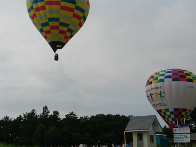 ���̓��͂Q��B�ɖZ���͂R����邻���B_���n���C�I���A�h�x���`���[