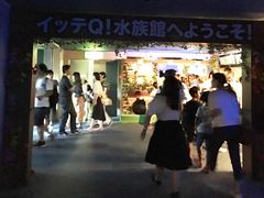 横浜 八景島シーパラダイスの写真一覧 8ページ目 じゃらんnet 横浜 八景島シーパラダイスの写真一覧 8ページ目 じゃらんnet