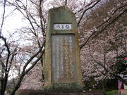 ��܂̂���̈䌴��̍��̓��e�ʐ^1