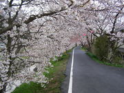 ��܂̂���̈䌴��̍��̓��e�ʐ^2