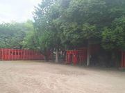 ܂񂳂̊ϒˈא_Ђ̓eʐ^1