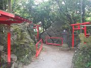 ܂񂳂̊ϒˈא_Ђ̓eʐ^3