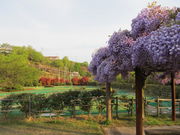 ܂̂̌oۃO[p[N̓eʐ^1