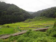 ܂񂳂̑JIcW]̓eʐ^1