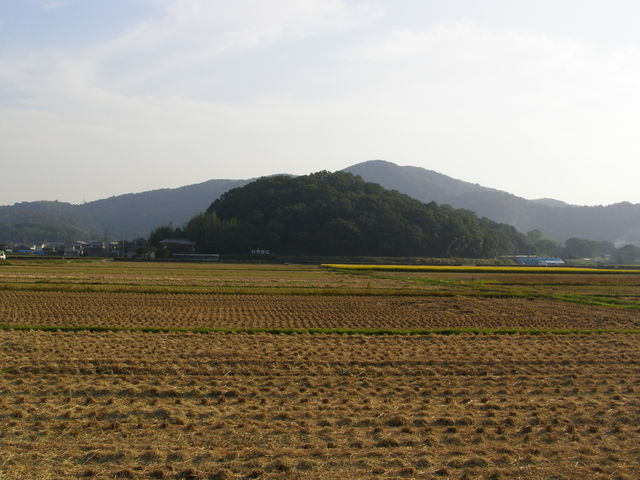 �c��ڂ̒��ɂ���_���R�Õ�