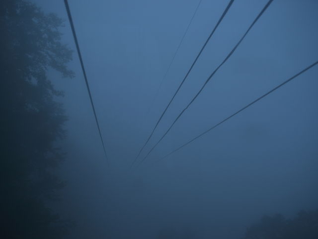 ���̒��ɓ˓�_���n�ܗ��G�X�J���v���U