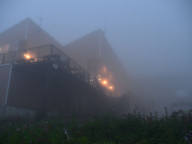 ���̒��͌��z�I�ȕ��͋C_���n�ܗ��G�X�J���v���U