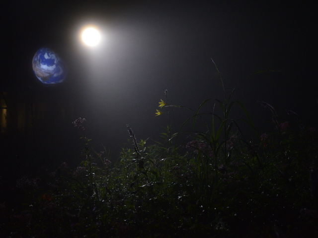 �_�W�b�N�A�[�X�l�����̌�_���n�ܗ��G�X�J���v���U