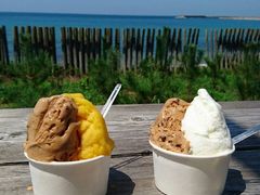 T͉Ƒ݂ȂŊyރX|bg̎ʐ^1