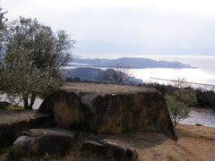 ���������i�������j�̎ʐ^1