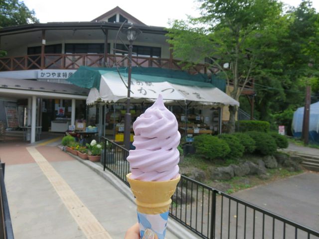 ����\�t�g_���̉w ����� ���Y�i�̔���