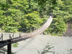 ���̂苴�̎ʐ^1