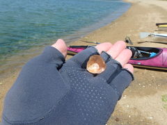 romi̋EH[^[gCւ̓eʐ^4