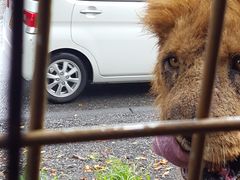 �x�m�T�t�@���p�[�N�̎ʐ^1