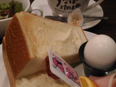 �݁[��[�ԁ[����̂��Ȃ����� �g�V�h����w�O�X�ւ̓��e�ʐ^1