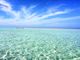 mimi1313さんの百合ヶ浜の投稿写真1