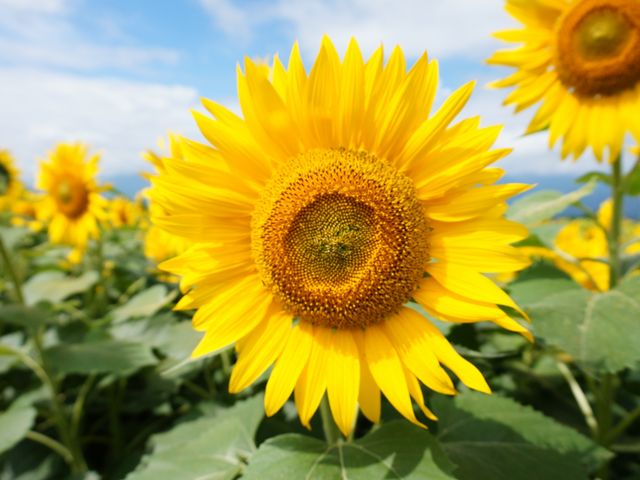 ������_�n�C�W�̑��@�N������