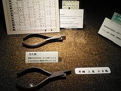 shano218̒nSقւ̓eʐ^1