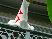 V񂳂̉{YLOق̓eʐ^1