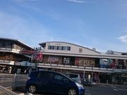 Xkv̐{I փJ[tX̓eʐ^1