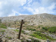 ��������̖F�P�����R�x�{�т̓��e�ʐ^1