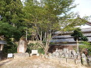 ڂ炳̔mԋisꎛ)̓eʐ^3