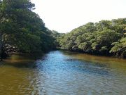 ����񂳂�̒��Ԑ�V�R�ی���̓��e�ʐ^1