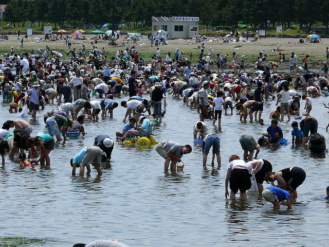 �������_�V���q�C������