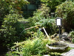 񂿂񂳂̂񂴂炵̓XEւ̓eʐ^1