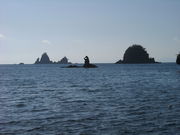 �Ћg����̑�c�q�C������̓��e�ʐ^1