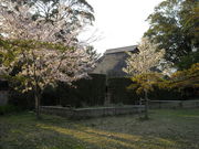 Ћg儒ˈՁi儒ˌj̓eʐ^1