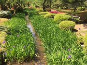 poporoňZ̃JLco^̓eʐ^1