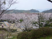 񂿂񂳂̊ێR\CVm̓eʐ^1